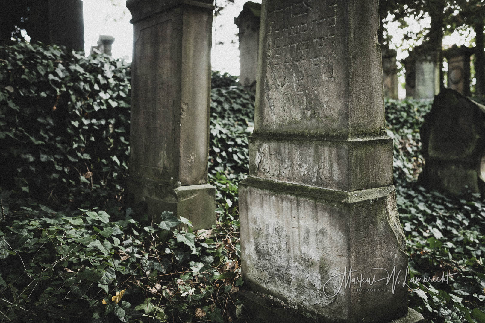 Steinheim (Westfalen), Jüdischer Friedhof
